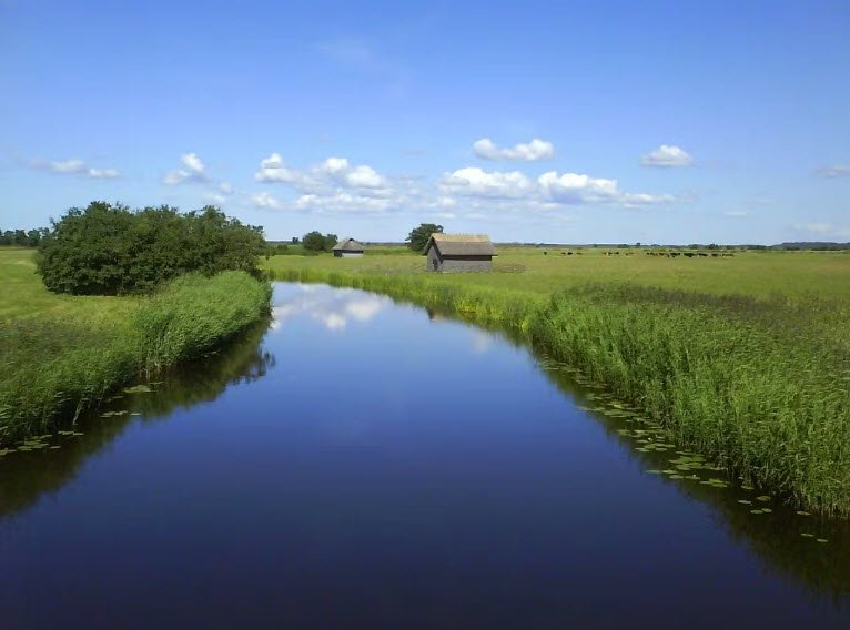 Matsalu National Park , Lääne County, Estonia